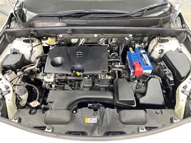 21946961_carP_l_12.jpg