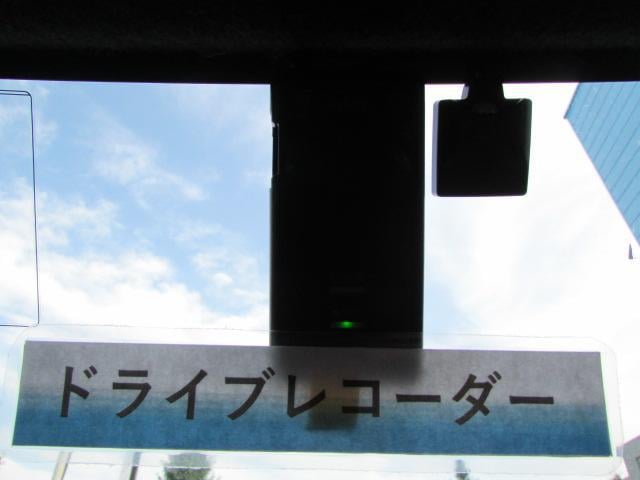 0505203A30250807W00209.jpg