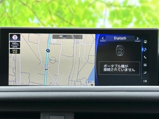 17186316_carP_l_19.jpg