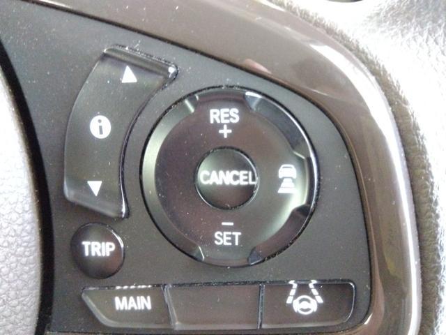 0300918A30250409W00118.jpg