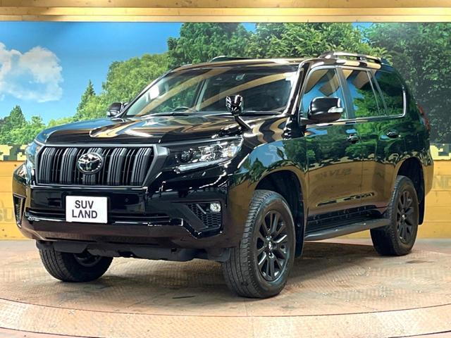 21361193_carP_l_16.jpg