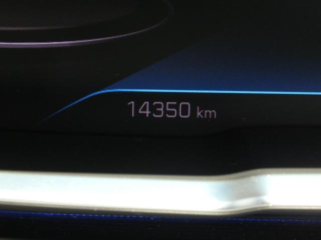 22583011_carP_l_10.jpg
