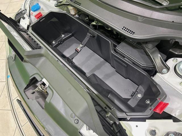 22639700_carP_l_19.jpg