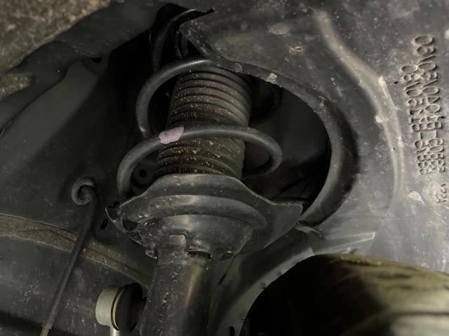 22699469_carP_l_20.jpg
