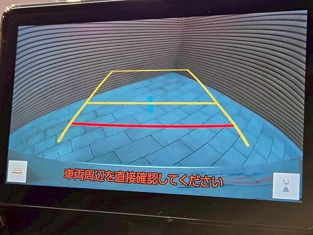 20828329_carP_l_4.jpg
