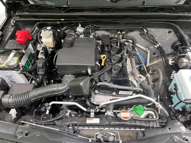 20193742_carP_l_16.jpg