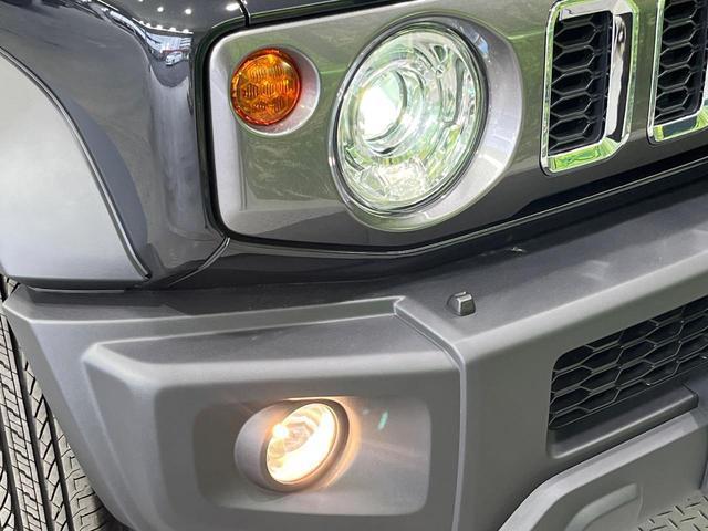 20193742_carP_l_6.jpg