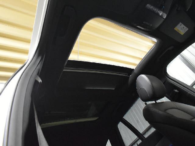 23212178_carP_l_10.jpg