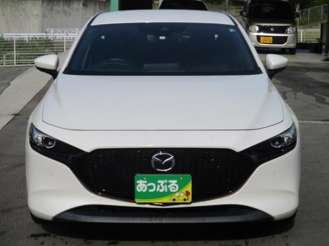 15131173_carP_l_3.jpg