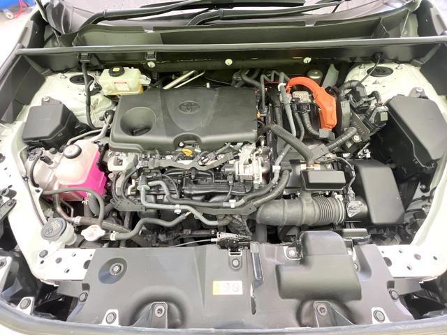 22698884_carP_l_16.jpg