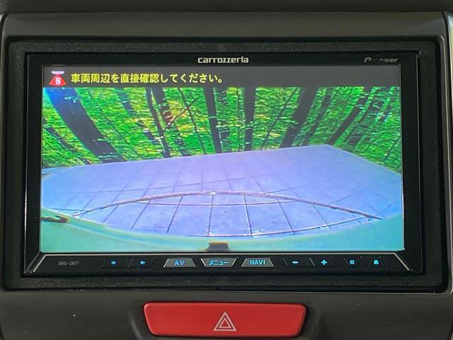 22620464_carP_l_4.jpg