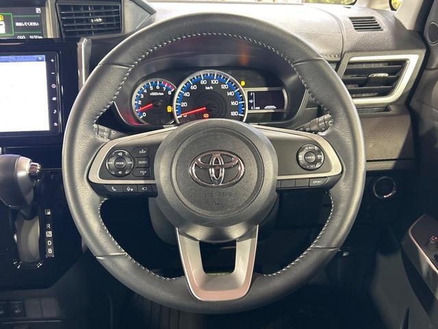 22819602_carP_l_5.jpg