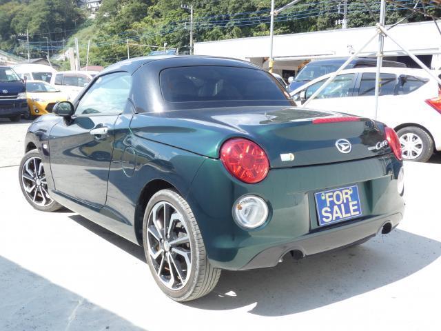 19307667_carP_l_15.jpg