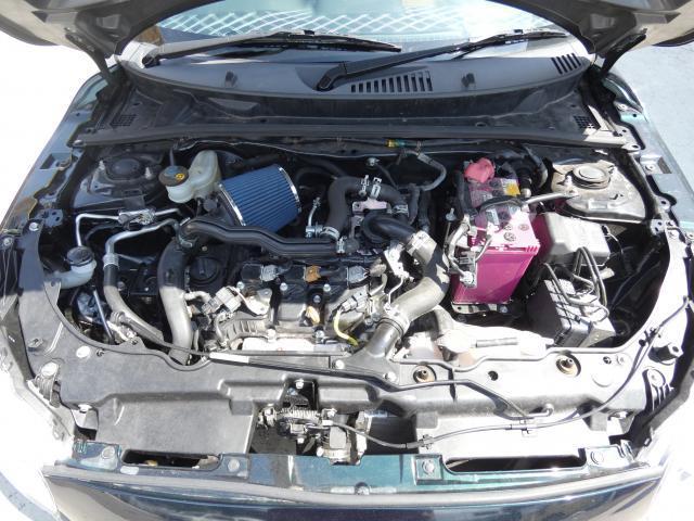 19307667_carP_l_17.jpg