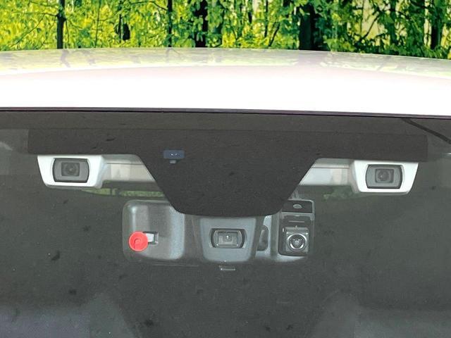 23207342_carP_l_15.jpg