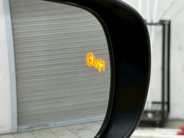 20035440_carP_l_14.jpg
