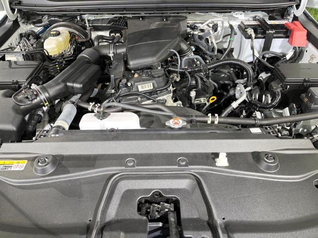 22280485_carP_l_16.jpg