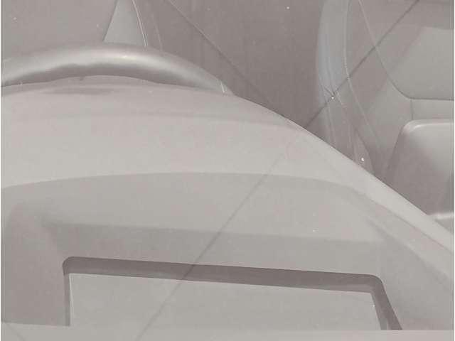 22597411_carP_l_7.jpg
