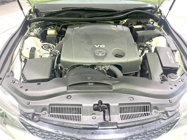 20503378_carP_l_16.jpg