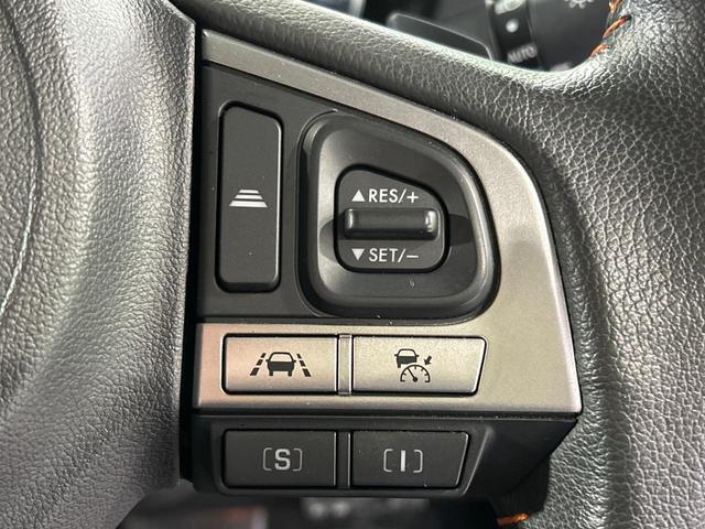 20176786_carP_l_13.jpg