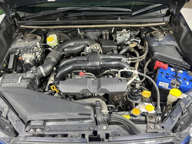 20176786_carP_l_18.jpg