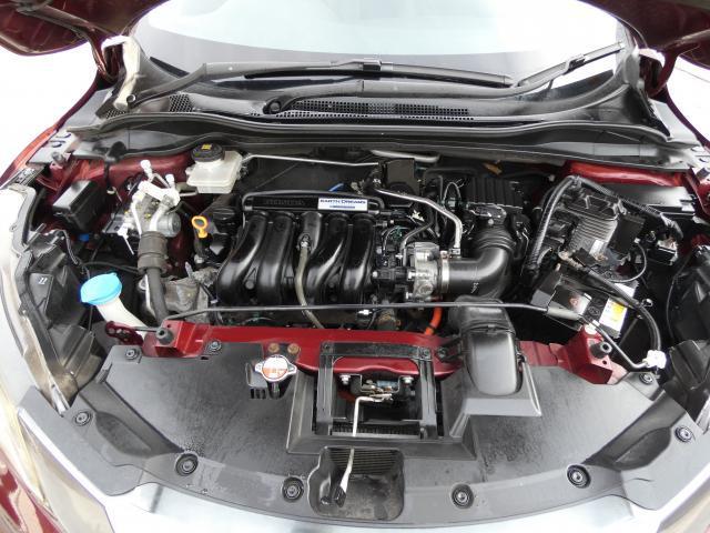 22429267_carP_l_17.jpg