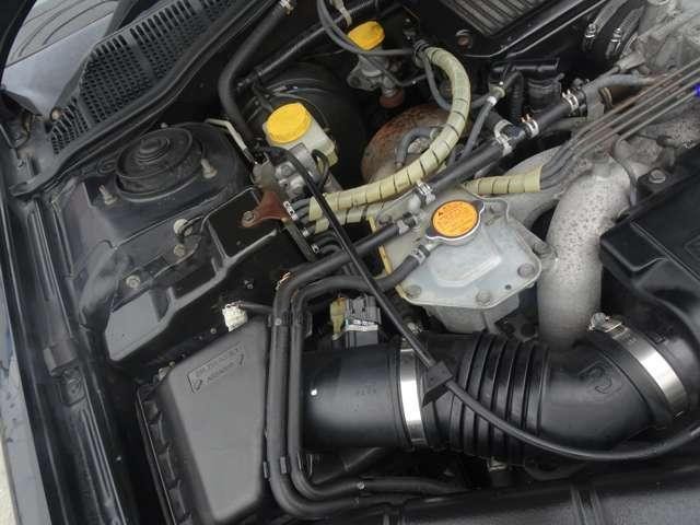 19585951_carP_l_8.jpg