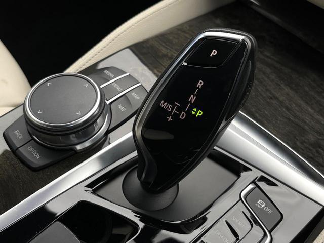 22896110_carP_l_6.jpg