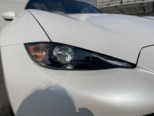 19055700_carP_l_6.jpg