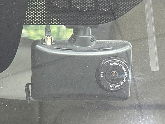 22779459_carP_l_13.jpg