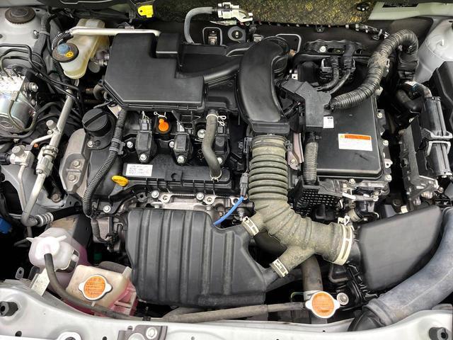 22994621_carP_l_16.jpg