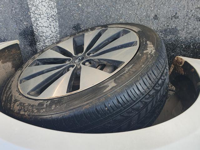 ae8ee2c342b2ce818855d15fe002cb4d.jpeg