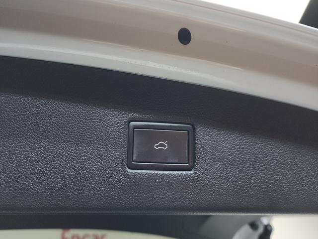 fe06029667025b6e6145d3c57d2ac0f8.jpeg