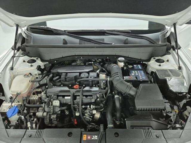 5091002819R5.jpg