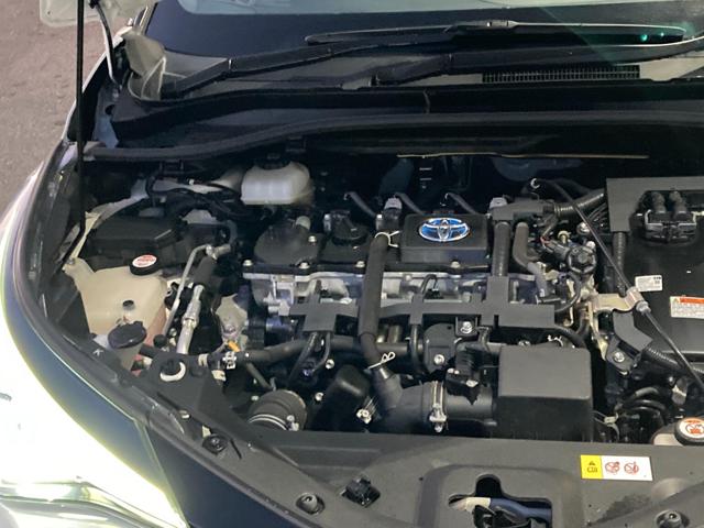 b66cda8bdacf128cfe65cee821ed4c68.jpg