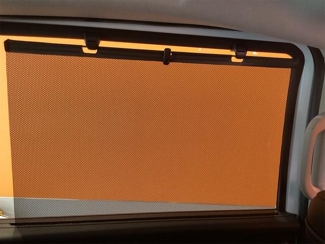 23143904_carP_l_16.jpg