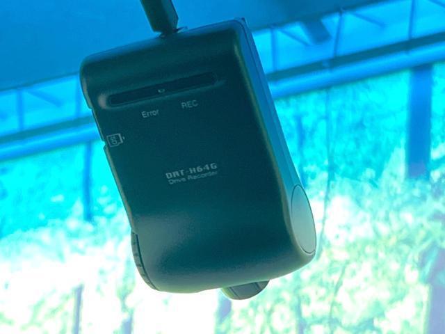 23074287_carP_l_10.jpg