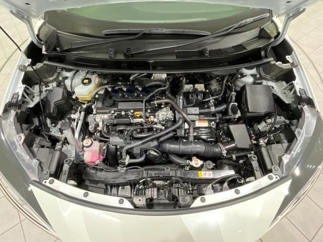21201173_carP_l_18.jpg