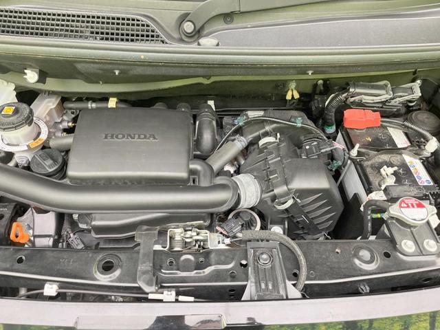 23169291_carP_l_16.jpg