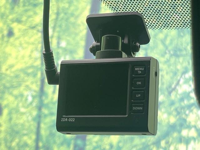 22619885_carP_l_13.jpg