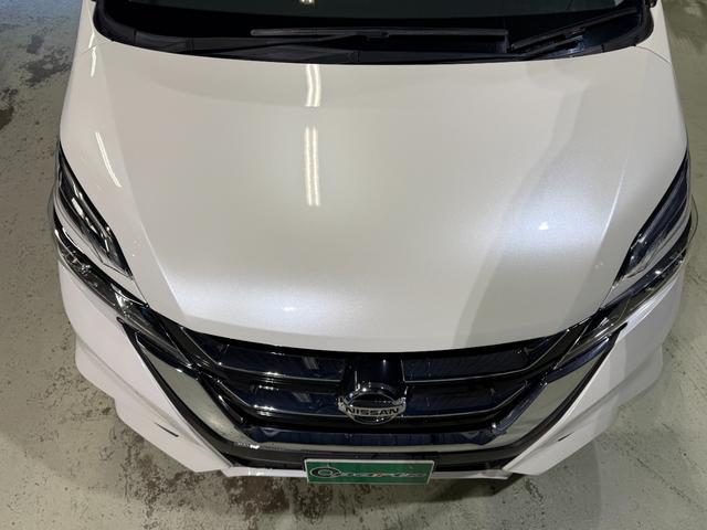 0902026A30251129W00619.jpg