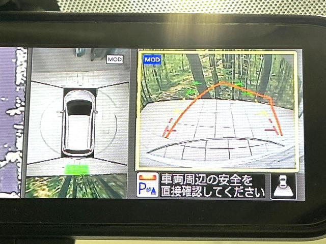 21515171_carP_l_4.jpg