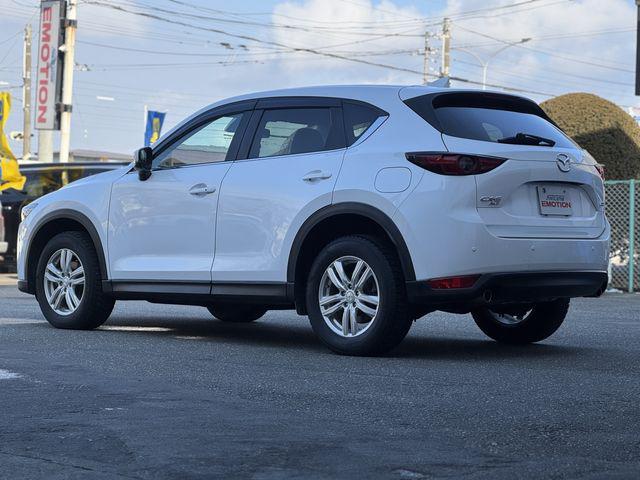 6b95eec2d61cf11136e9081c797a29ef.jpg