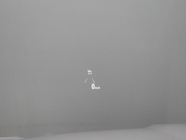 d007bb9f617a00144608ce52658e6935.jpeg
