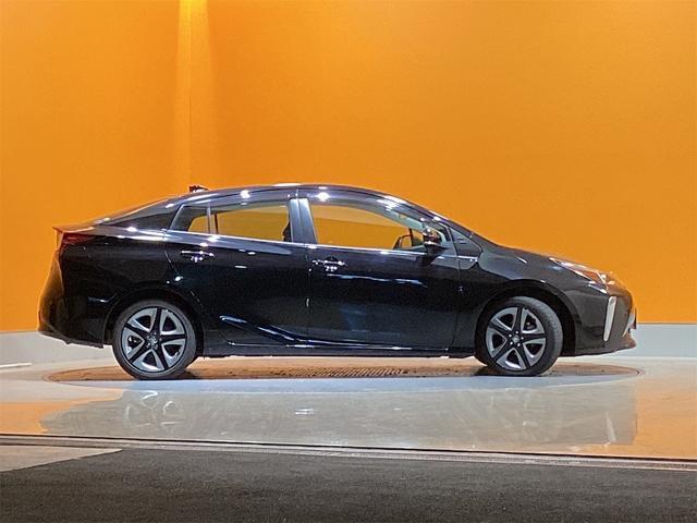 20811093_carP_l_14.jpg