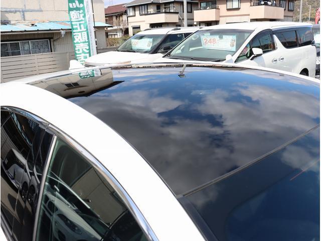 22681081_carP_l_7.jpg