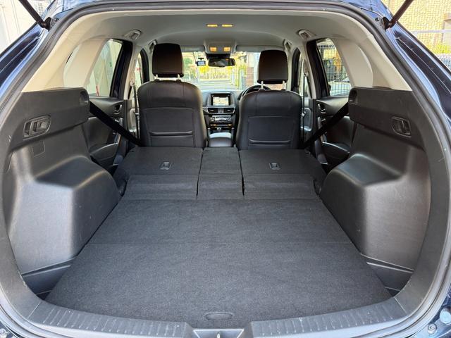 21132572_carP_l_2.jpg