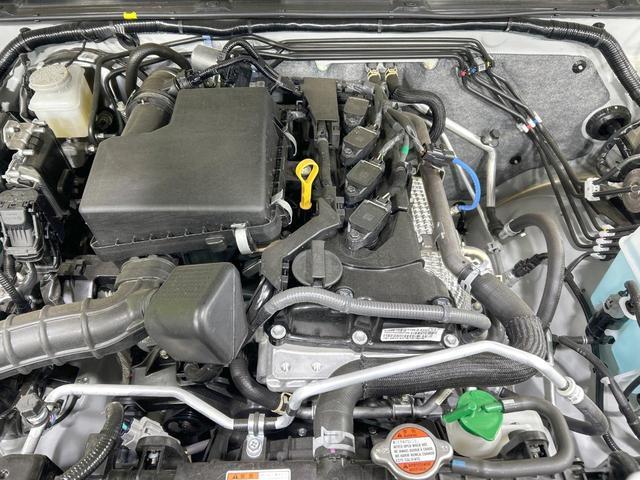 21984742_carP_l_16.jpg