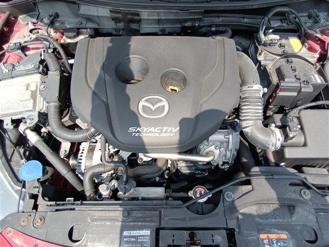 08.jpg