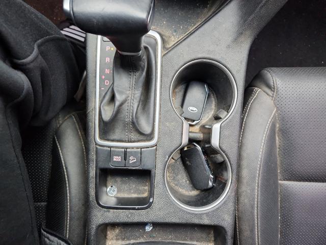 lotterental_095725646_g4sR0_8.jpg